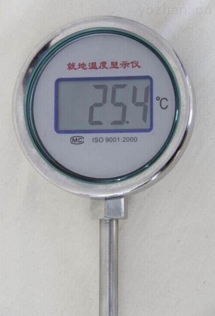 就地溫度顯示儀