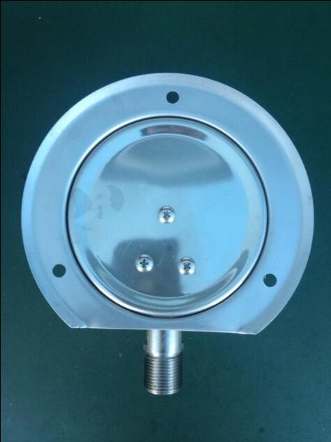 徑向帶邊不銹鋼壓力表