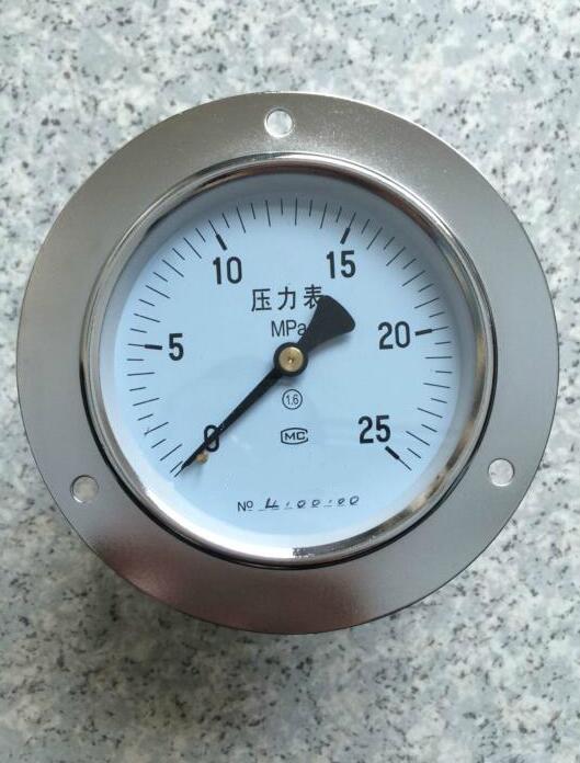 軸向帶邊不銹鋼壓力表