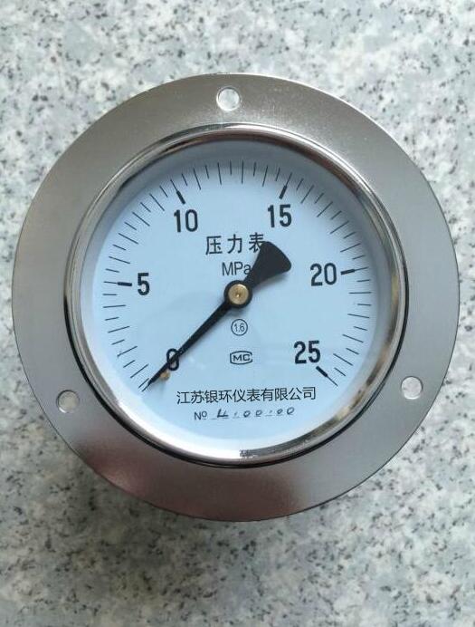 軸向帶邊不銹鋼壓力表